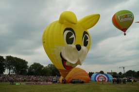Nieuws: 'Ballonnen zijn onze passie', festival in Grave terug van we