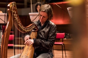 Tineke urenlang in zenuwen na diefstal harp: 'Alsof je trouwring verliest'